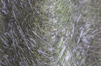 Petton fibreglass roof work